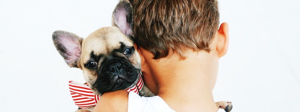 Kid hugging a French Bulldog The Ultimate Guide to Travelling with Pets Airline Fees and Policies