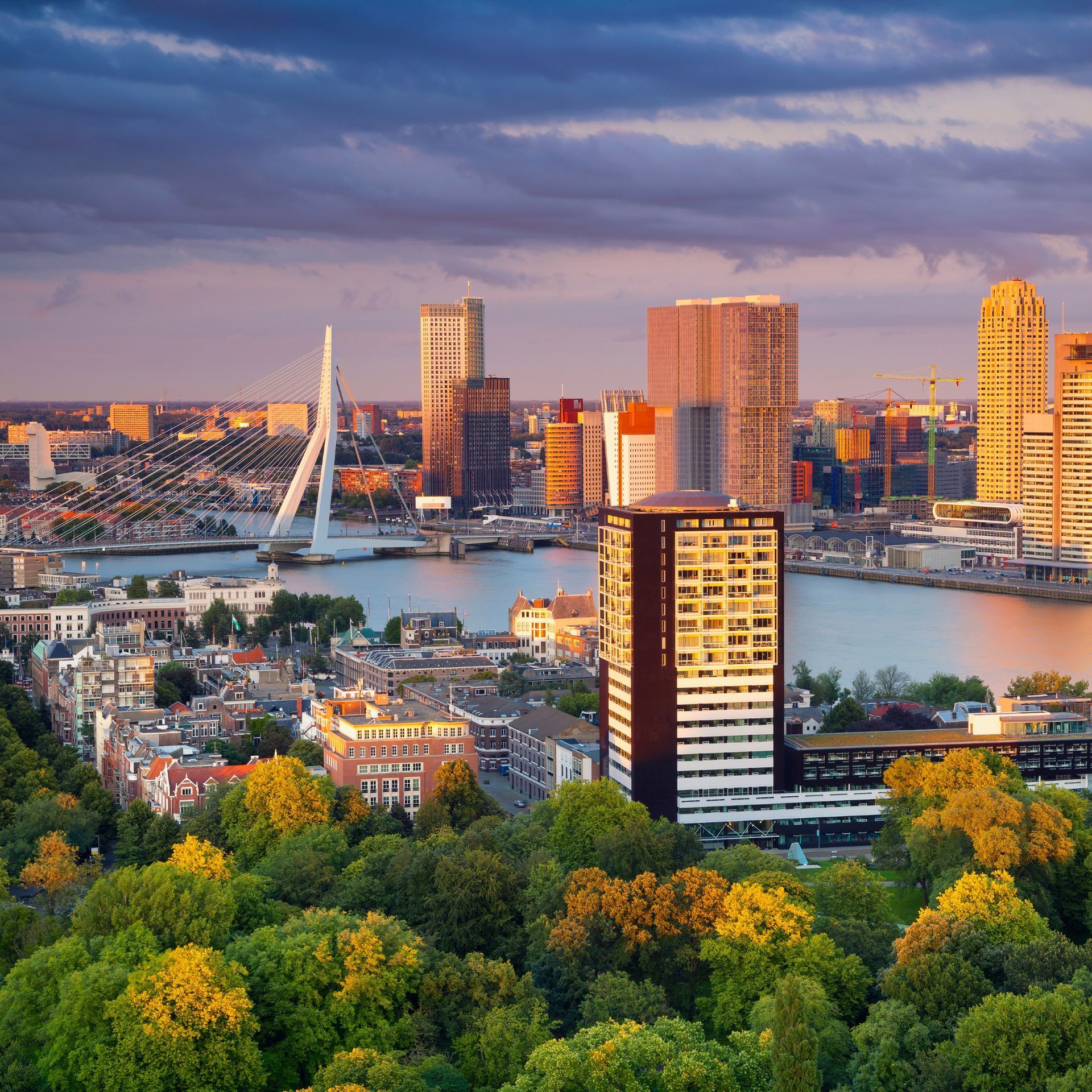 rotterdam
