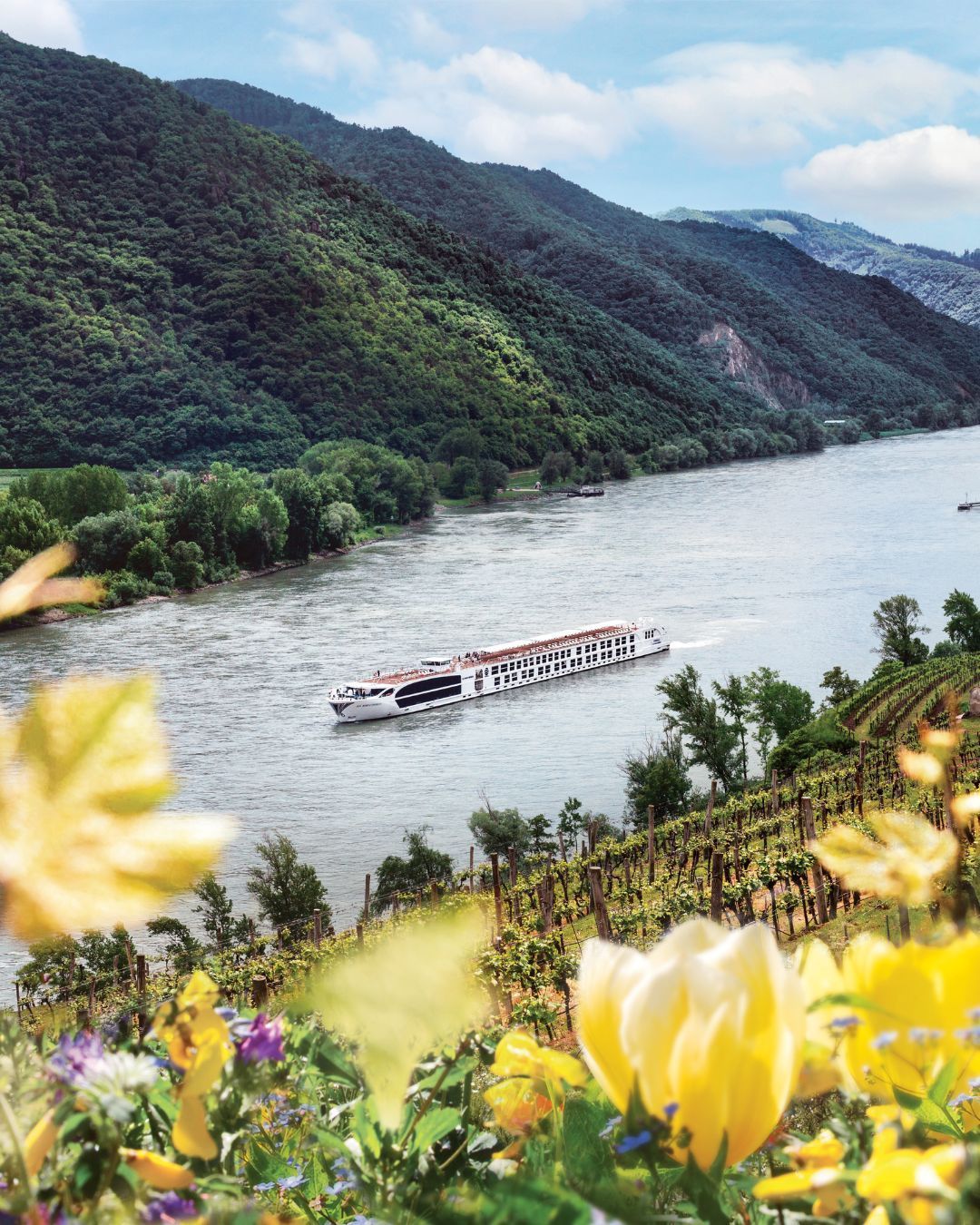 Boat on a river with forested mountains and yellow flowers in the foreground