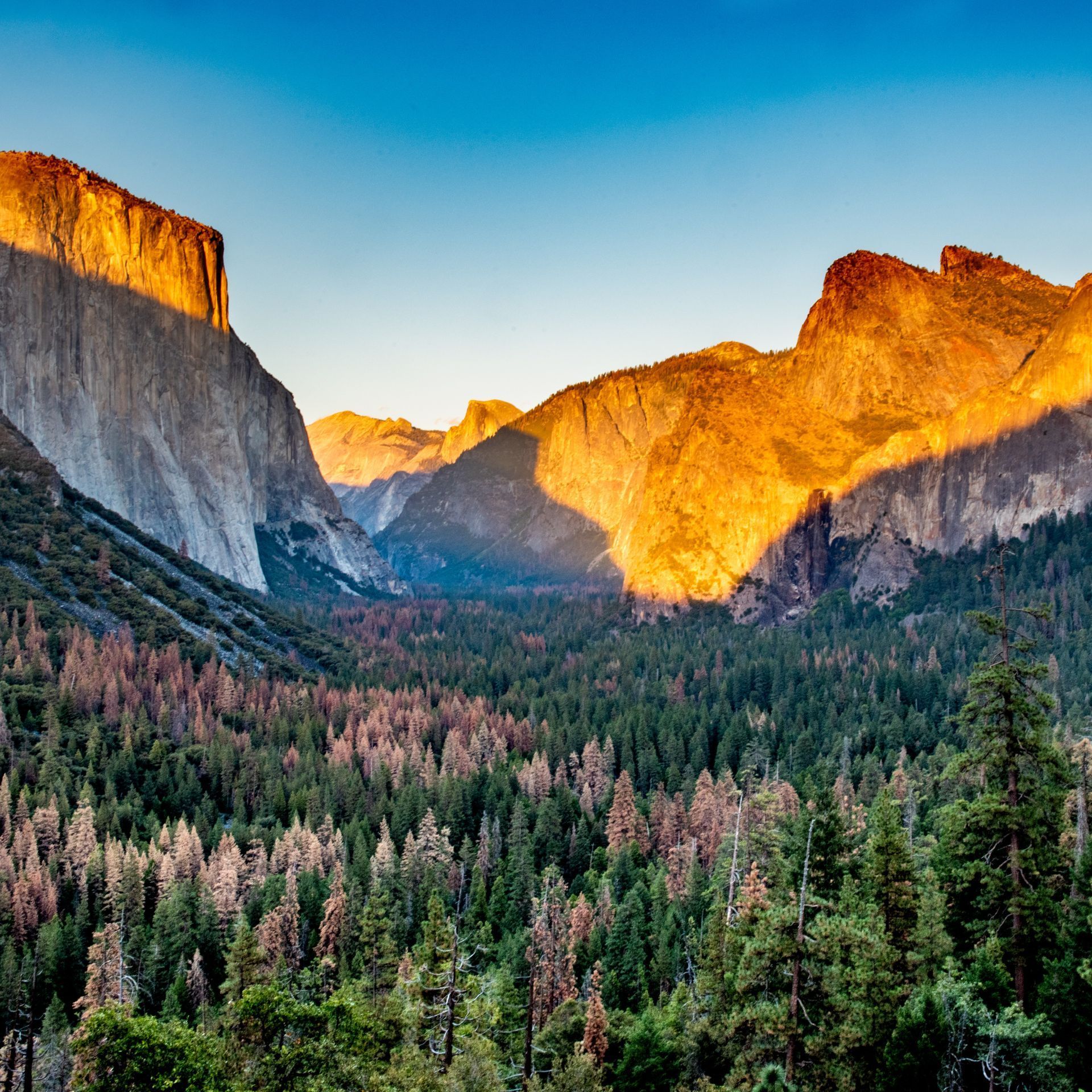 yosemite national park