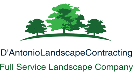 D'Antonio Landscaping D'Antonio Landscaping
