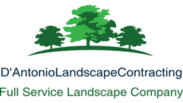 D'Antonio Landscaping
