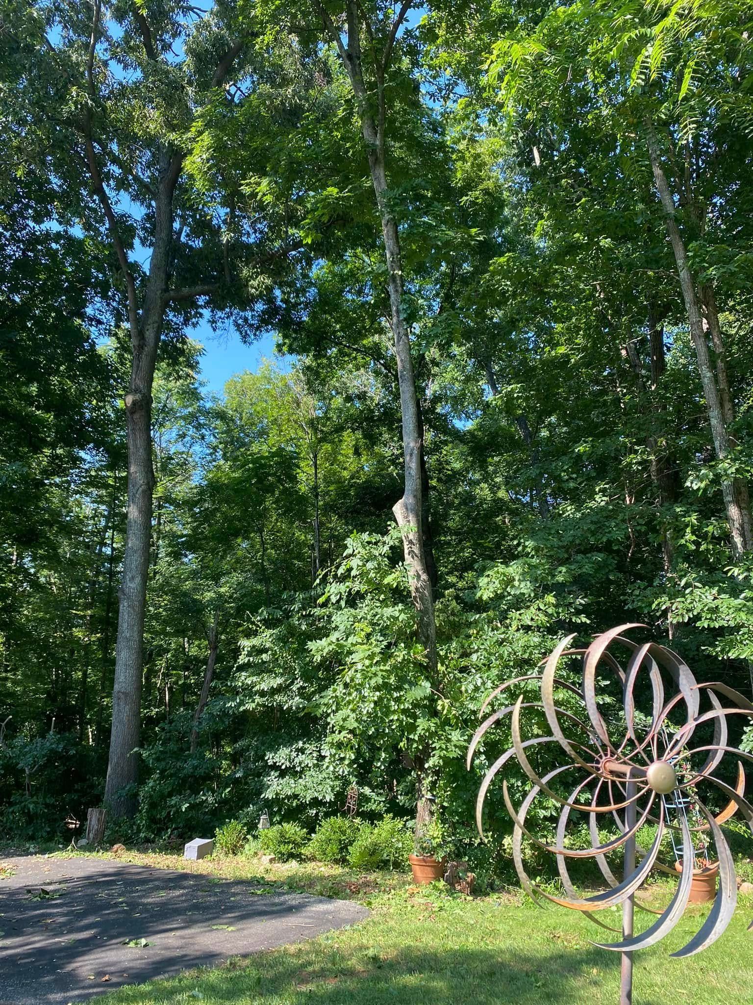 A metal garden kinetic spinner stands on a lawn in front of a dense, green forest under a clear blue sky.