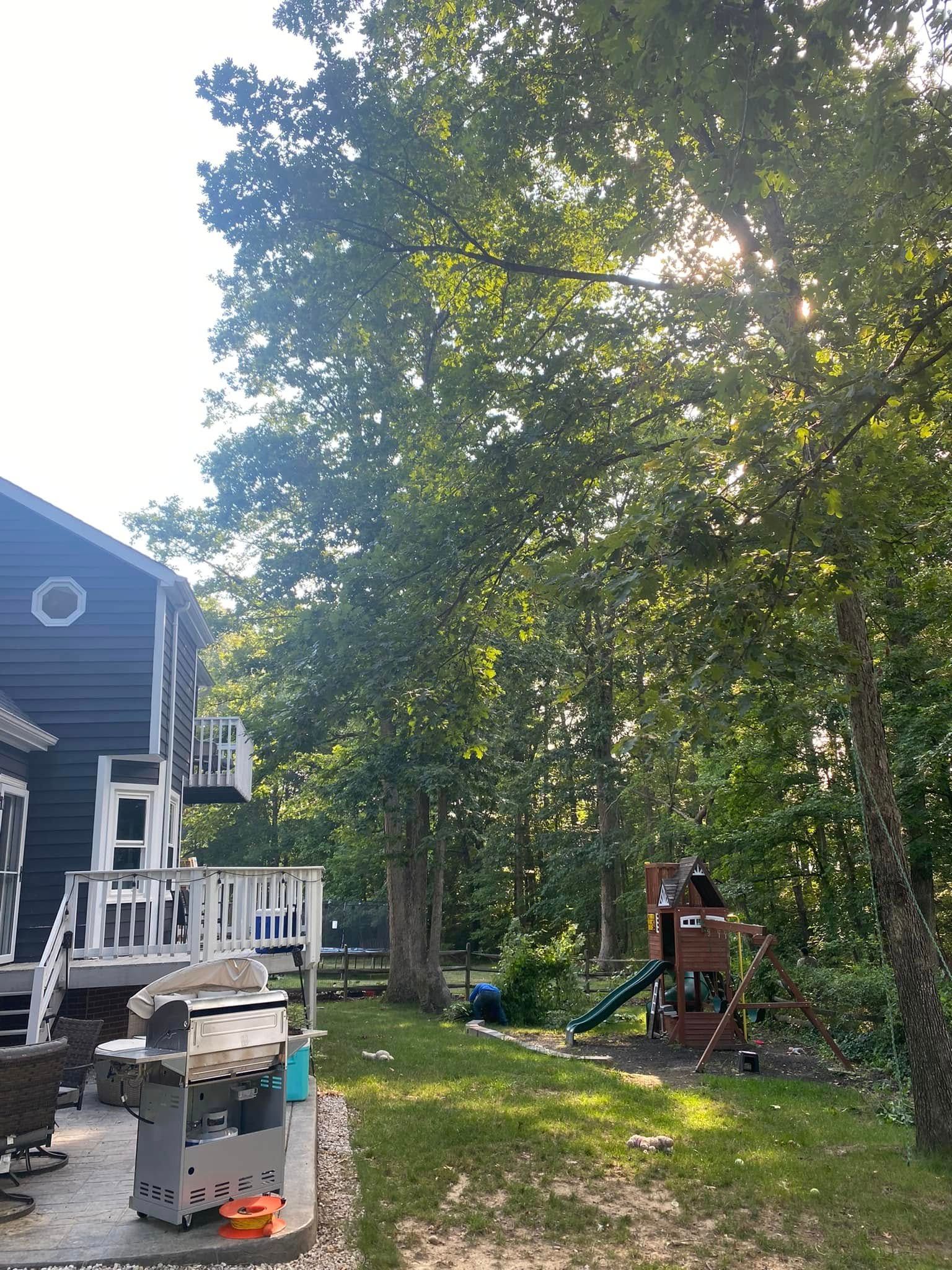 Backyard beside a house with tall trees, lawn tools, and a person near a wooden structure.