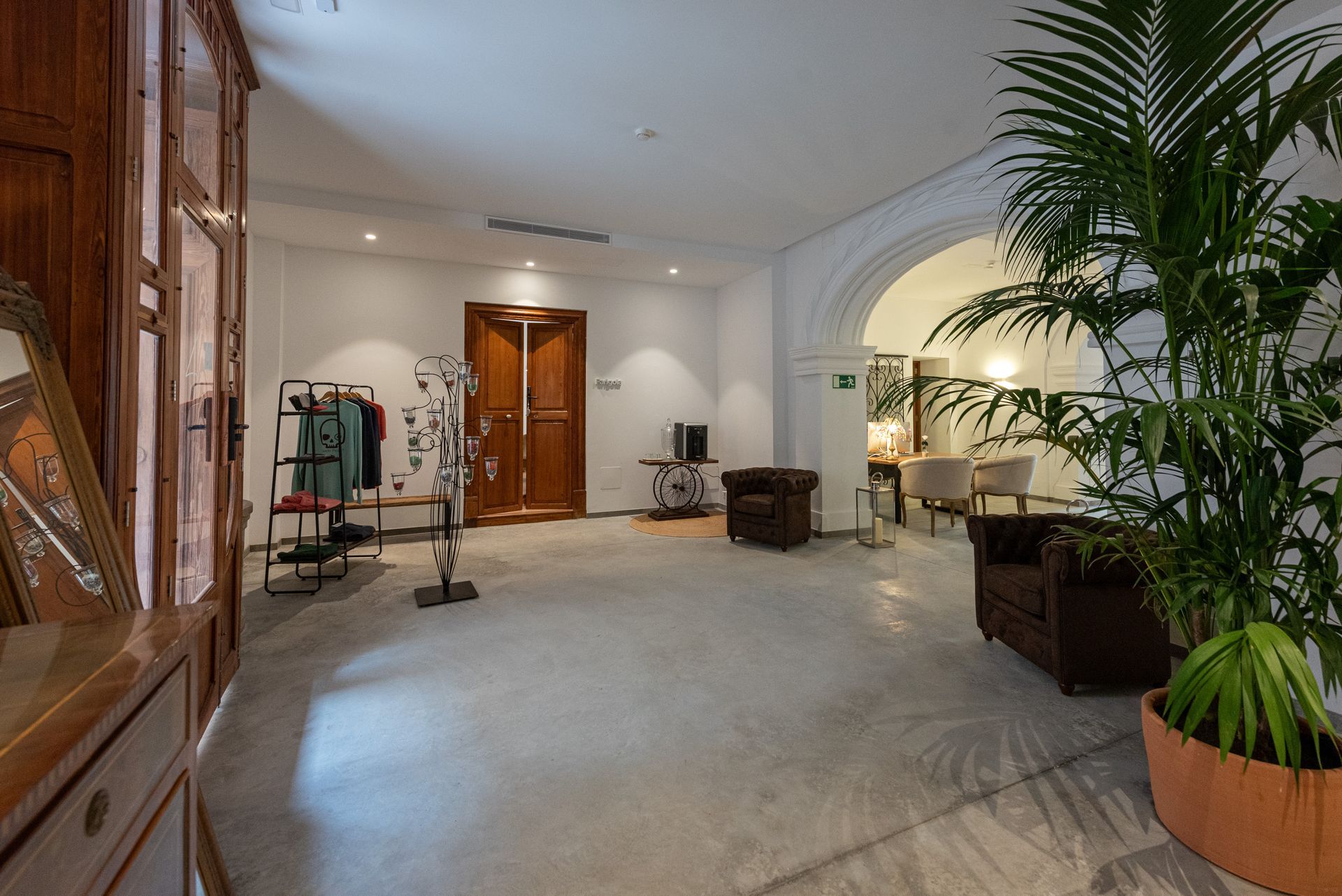 Una habitación grande con muchos muebles y una planta en maceta.