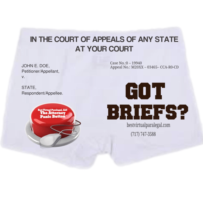 In the court of appeals of any state at your court got briefs.