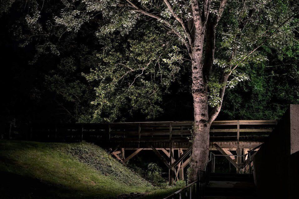 A wooden bridge is lit up at night with a tree in the foreground.