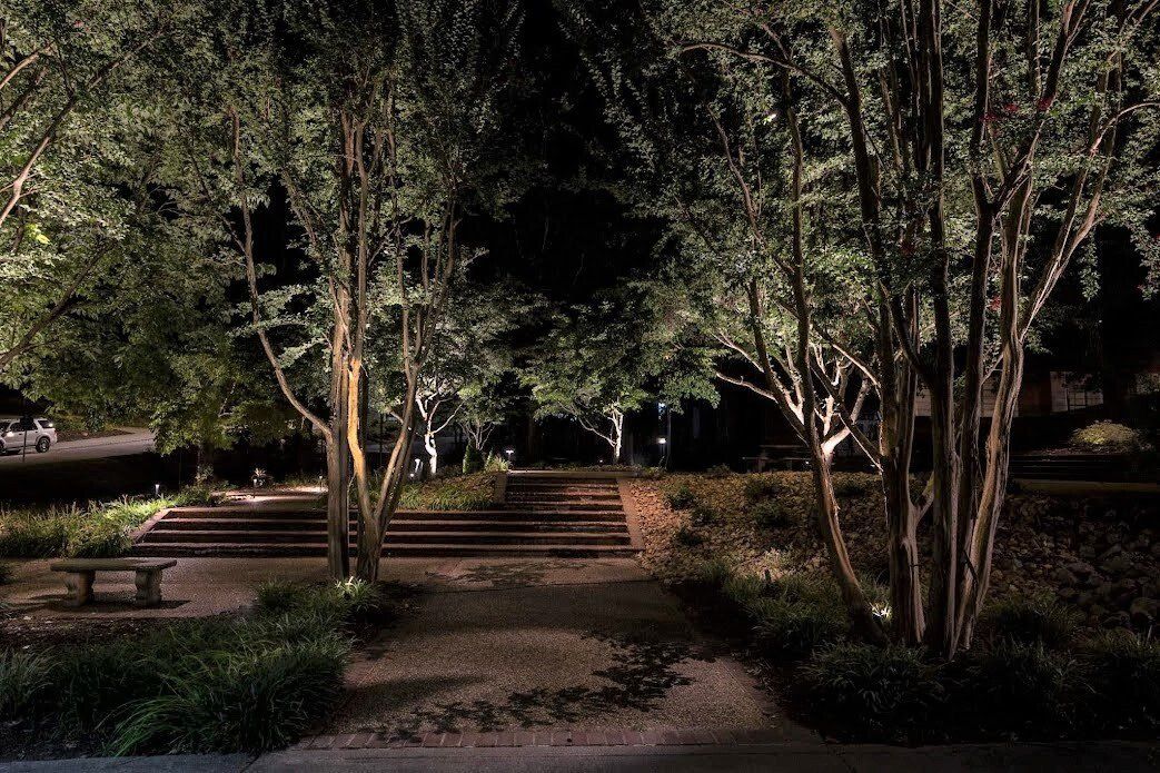 A park with trees and stairs lit up at night.