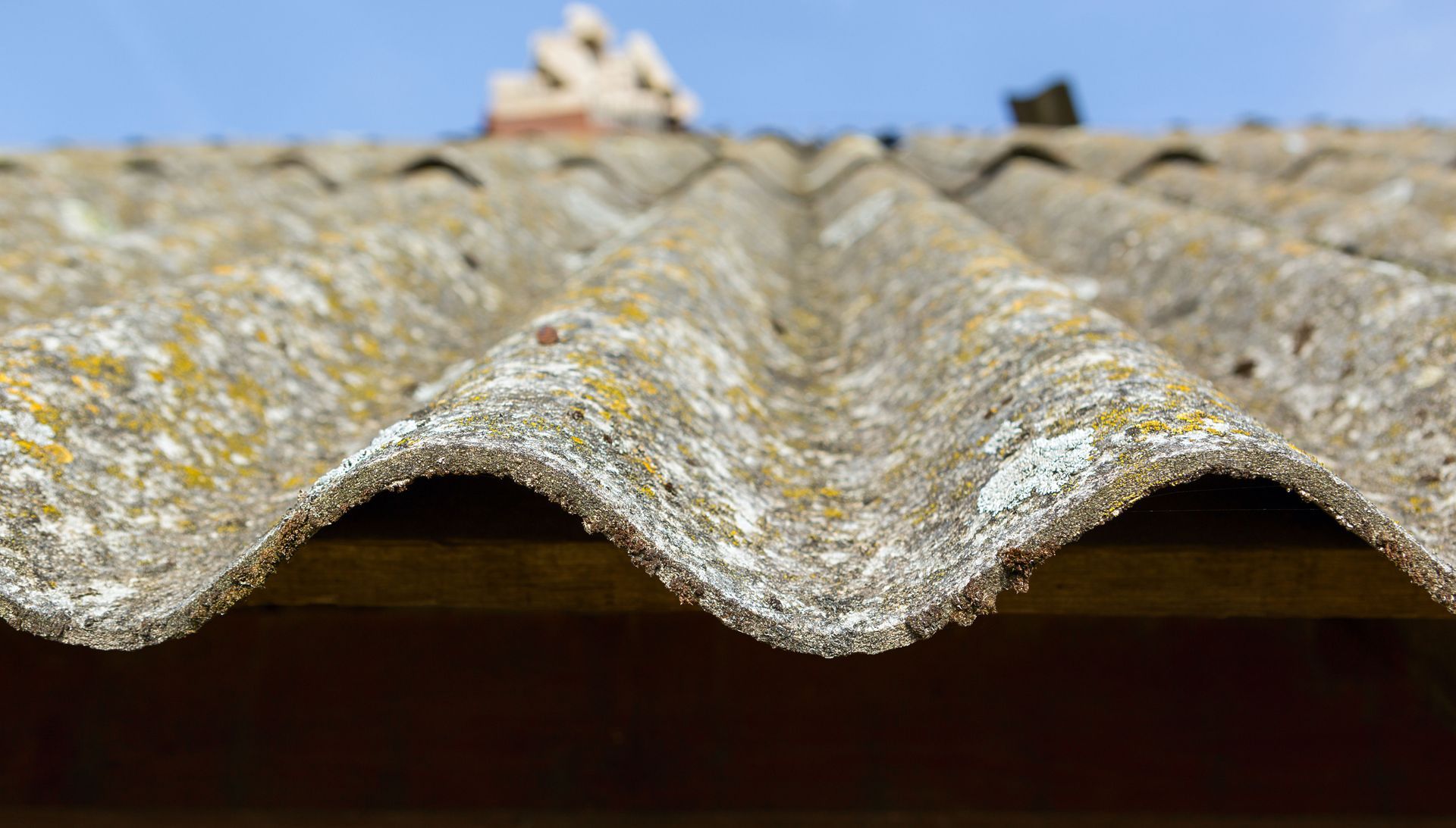 Asbestos Consulting in Harlingen, TX
