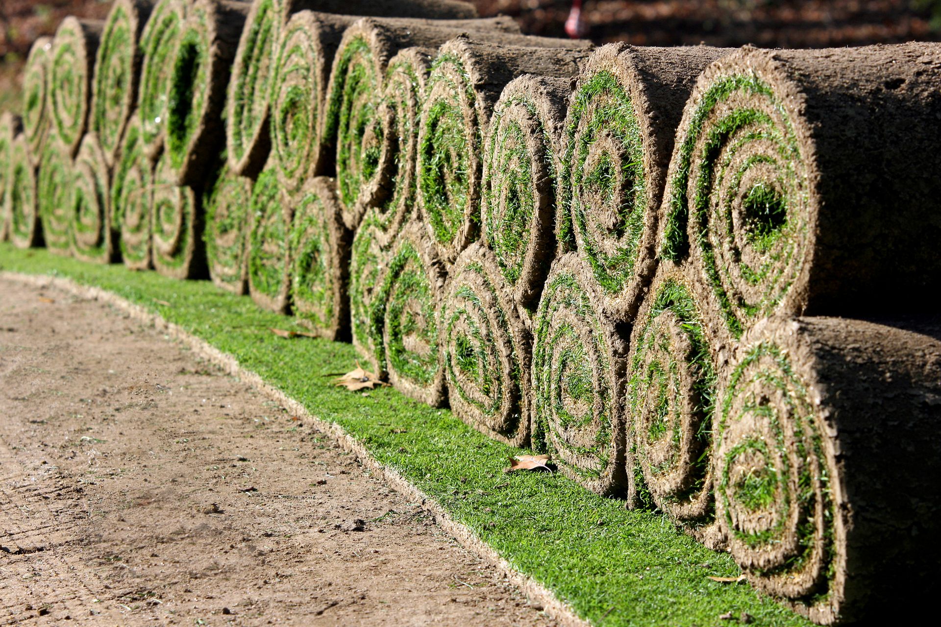 Garden New Turfs Roll - Athens, AL - T&R Sod Farms