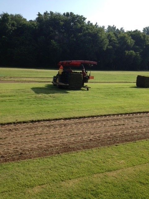 Grass Landscaping Project - Athens, AL - T&R Sod Farms