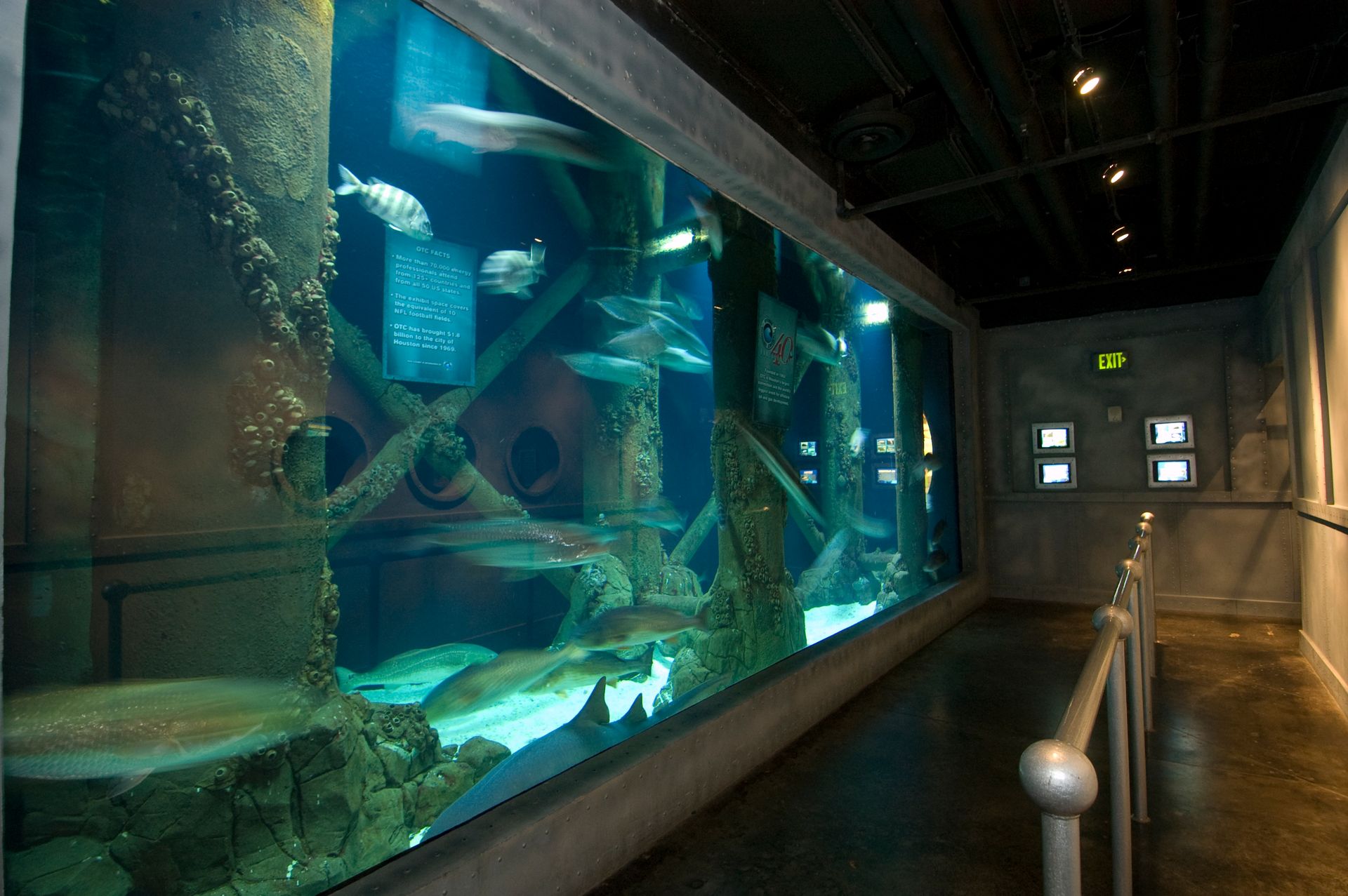 Fish Display Musuem Aquarium Adventure Exhibit | Downtown Aquarium