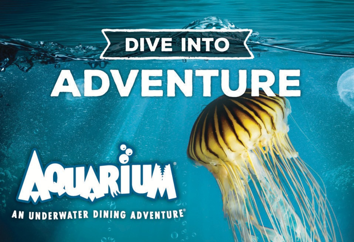 A poster for an underwater dining adventure at the aquarium for gift cards