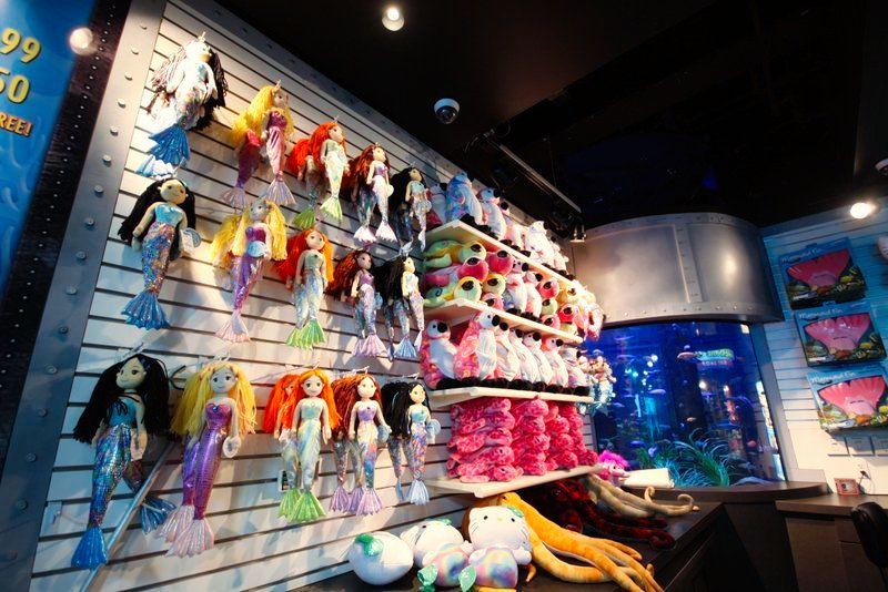 A wall full of stuffed animals and a sign that says 99 cents
