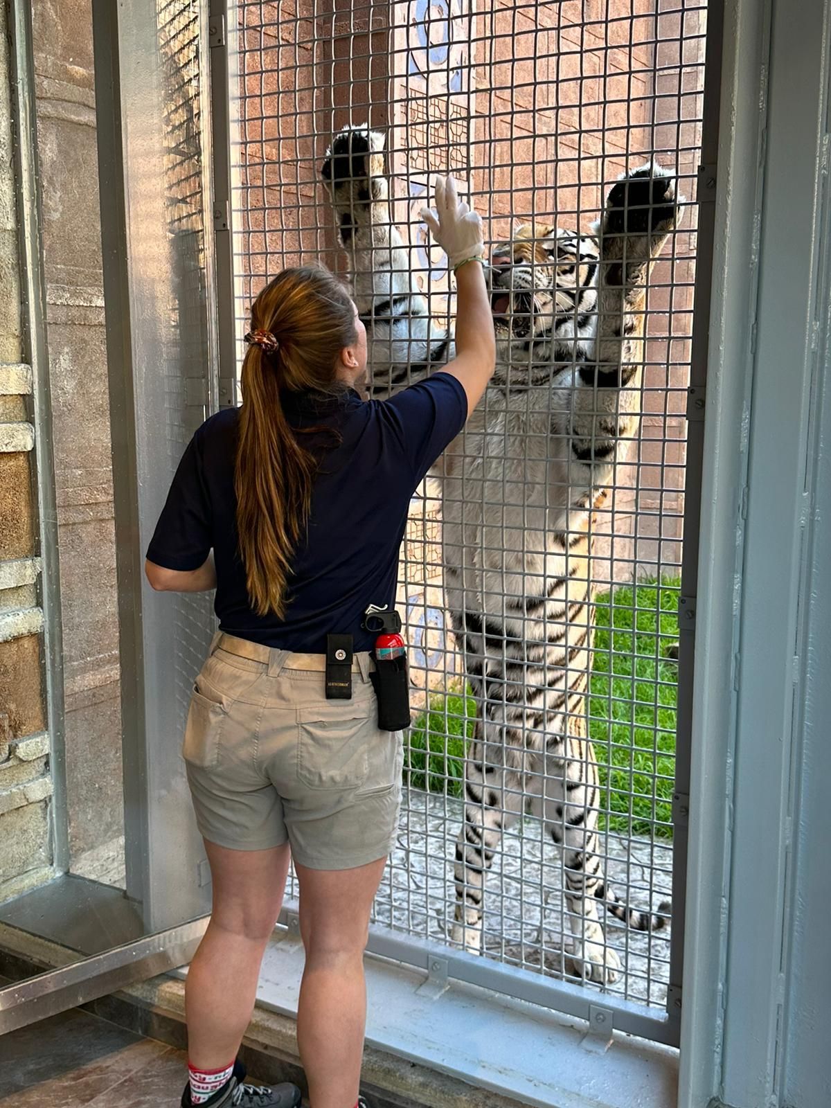 A woman standing next to a tiger in a cage