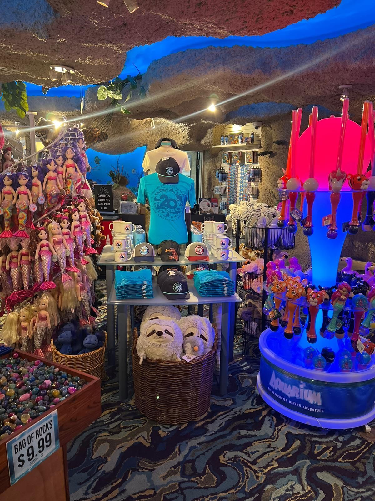 A store with a sign that says aquarium on it