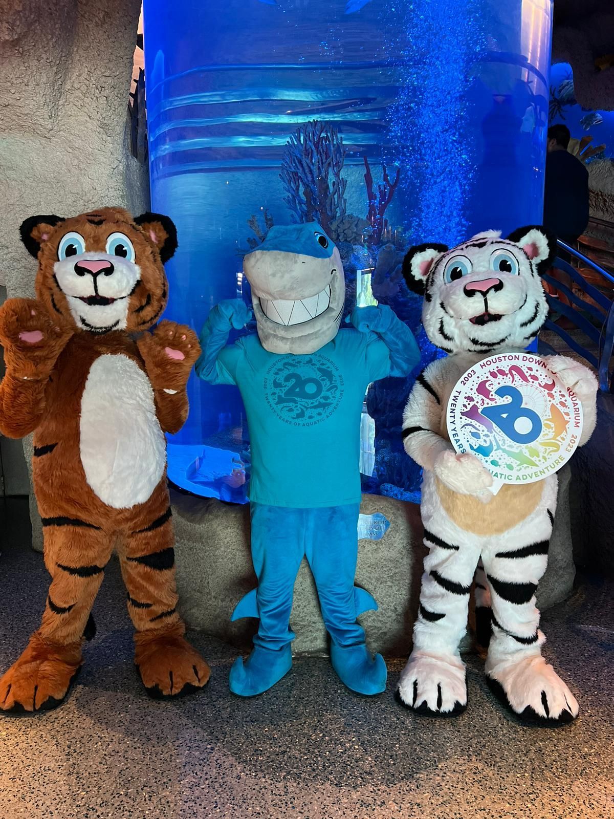 Three mascots are standing in front of an aquarium