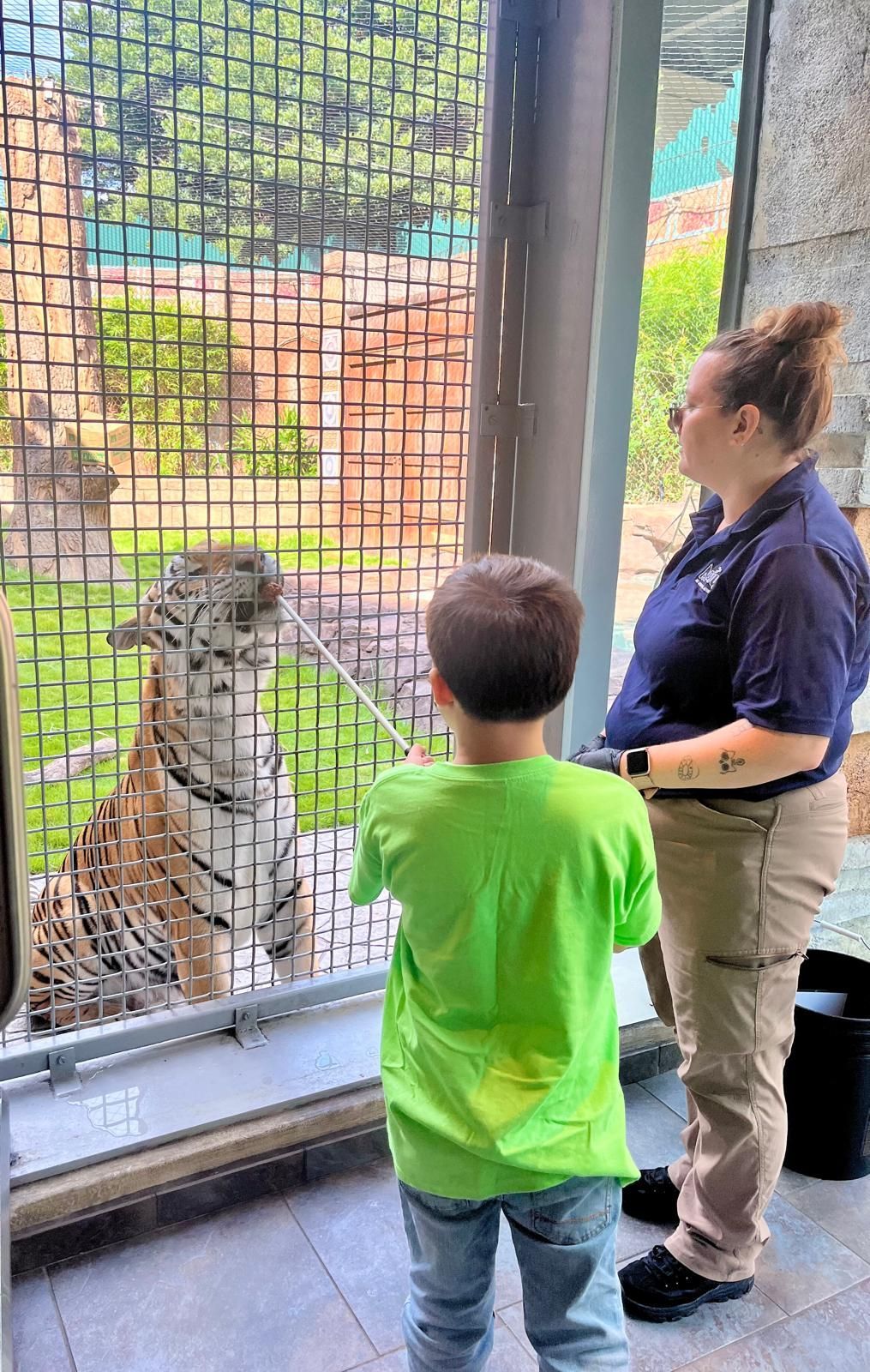 A man standing next to a white tiger feeding it