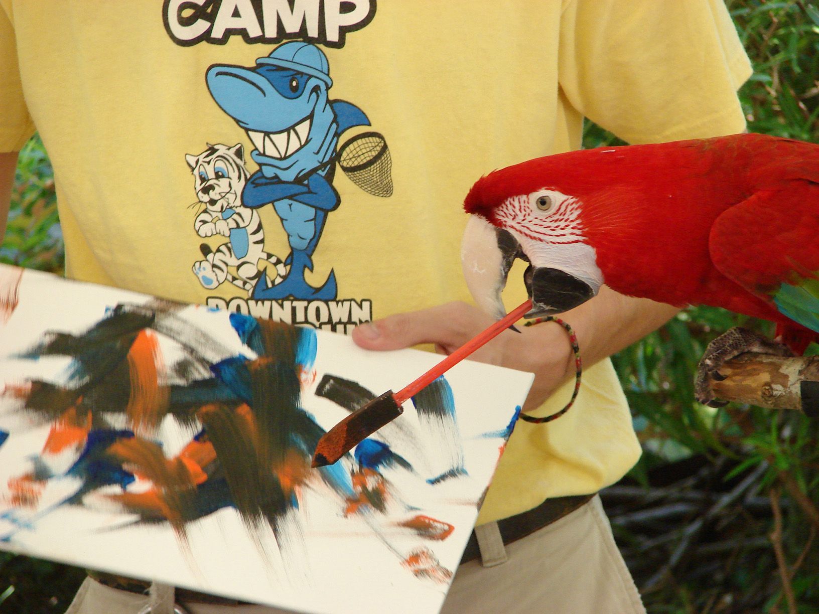 A person with a yellow next to a parrot painting