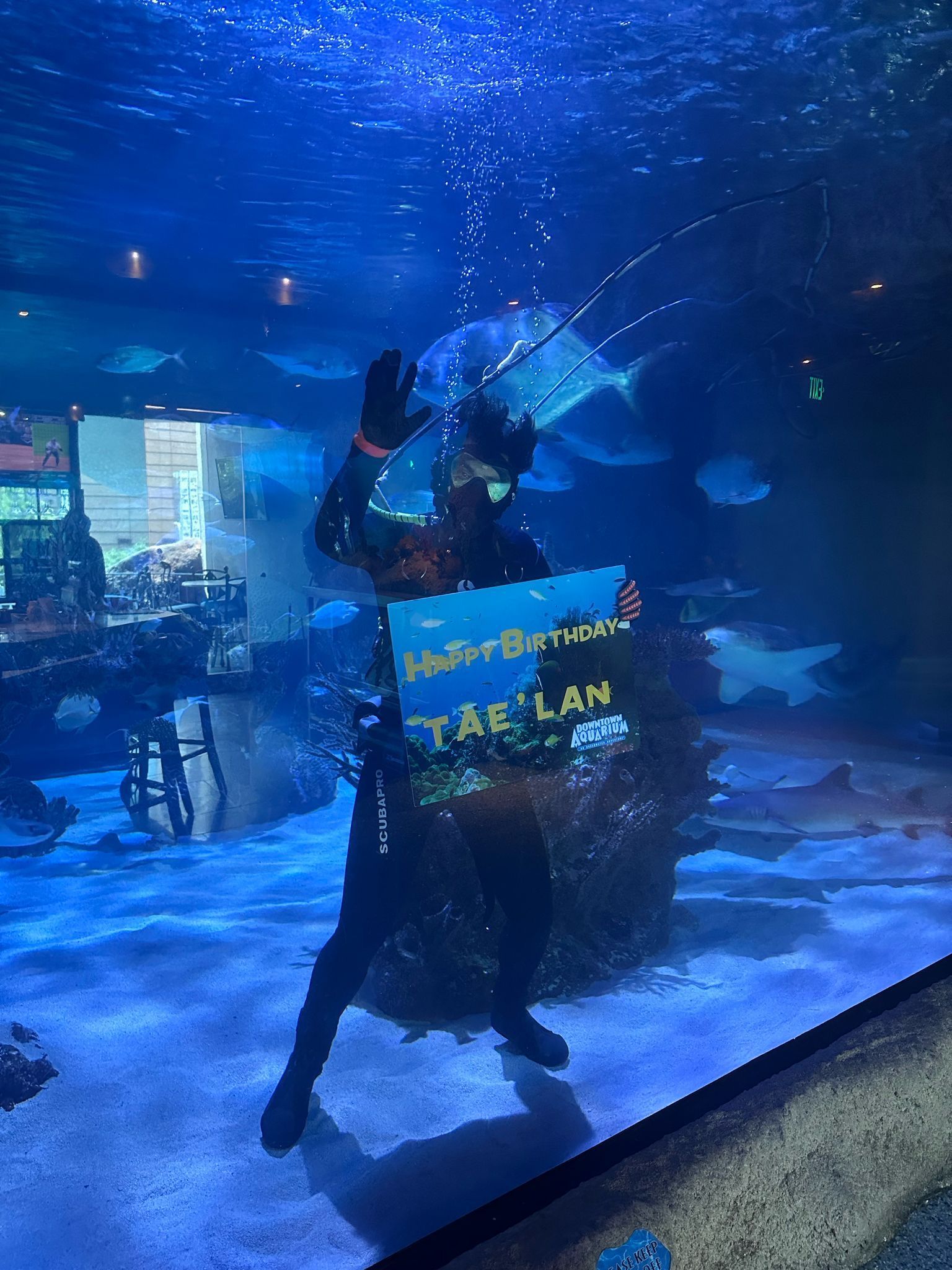 A man is swimming in a tank with a sign that says welcome to the nautilus ballroom