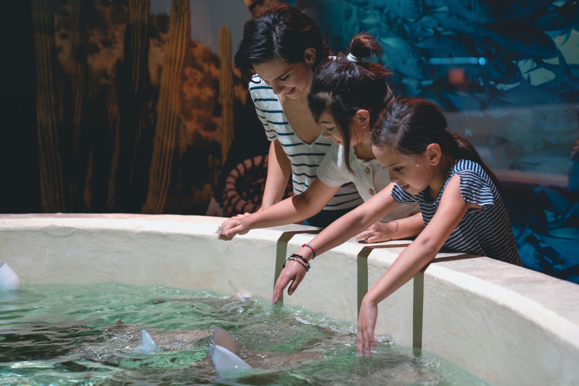 A woman and two girls are touching a stingray in a tank.