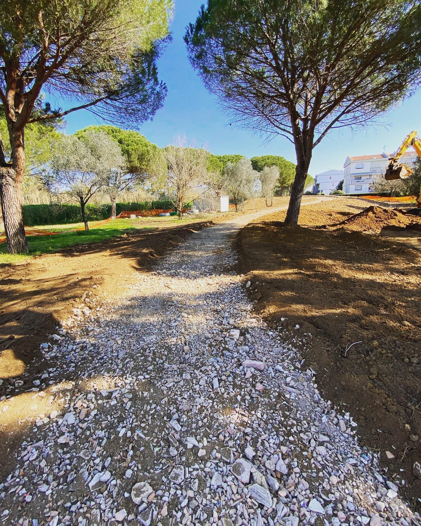 Sentiero di ghiaia che attraversa un parco boscoso e soleggiato con alberi e un edificio in lontananza.