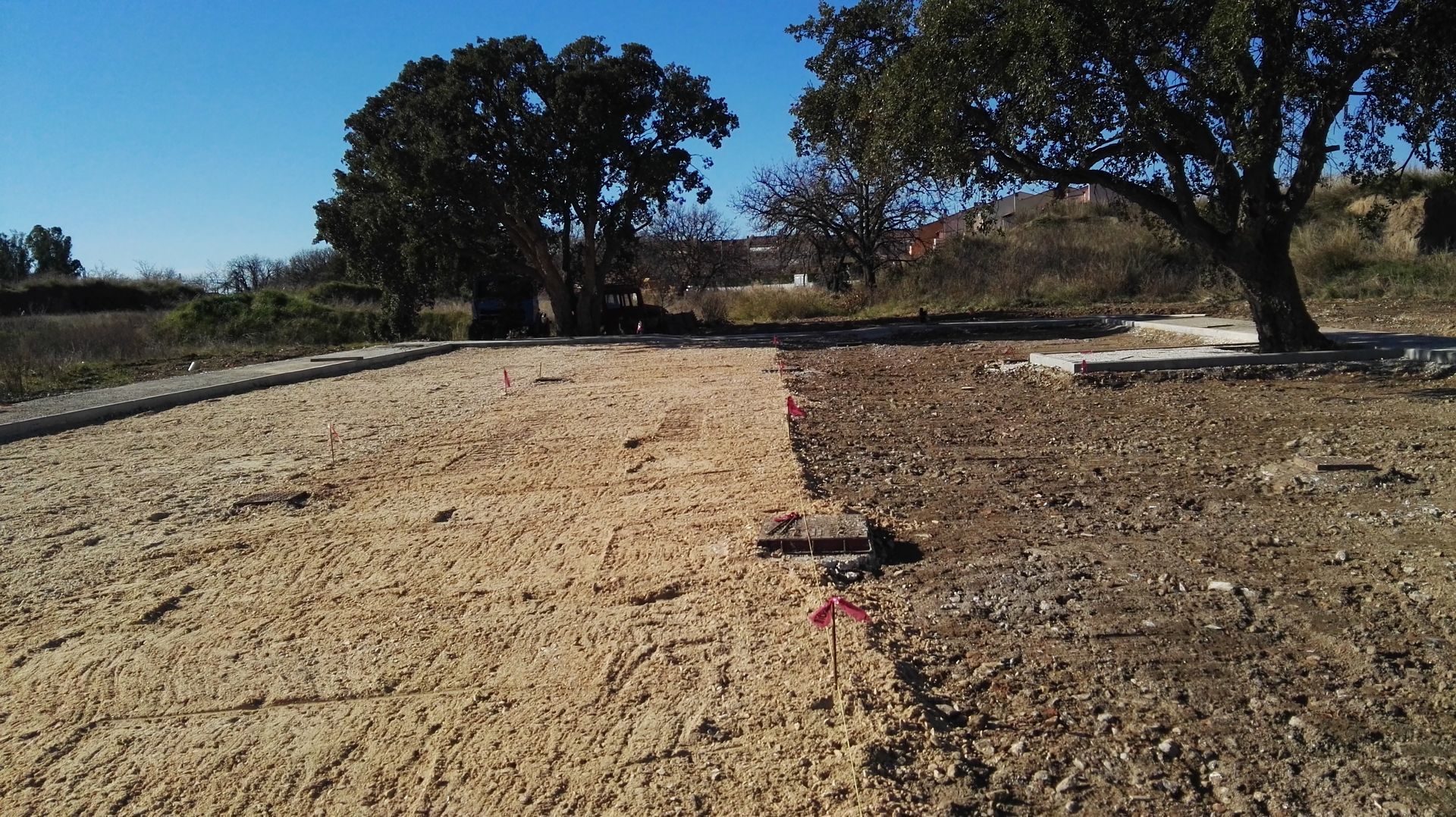 Sentiero sabbioso che attraversa una prateria arida con alberi su entrambi i lati, sotto un cielo limpido.