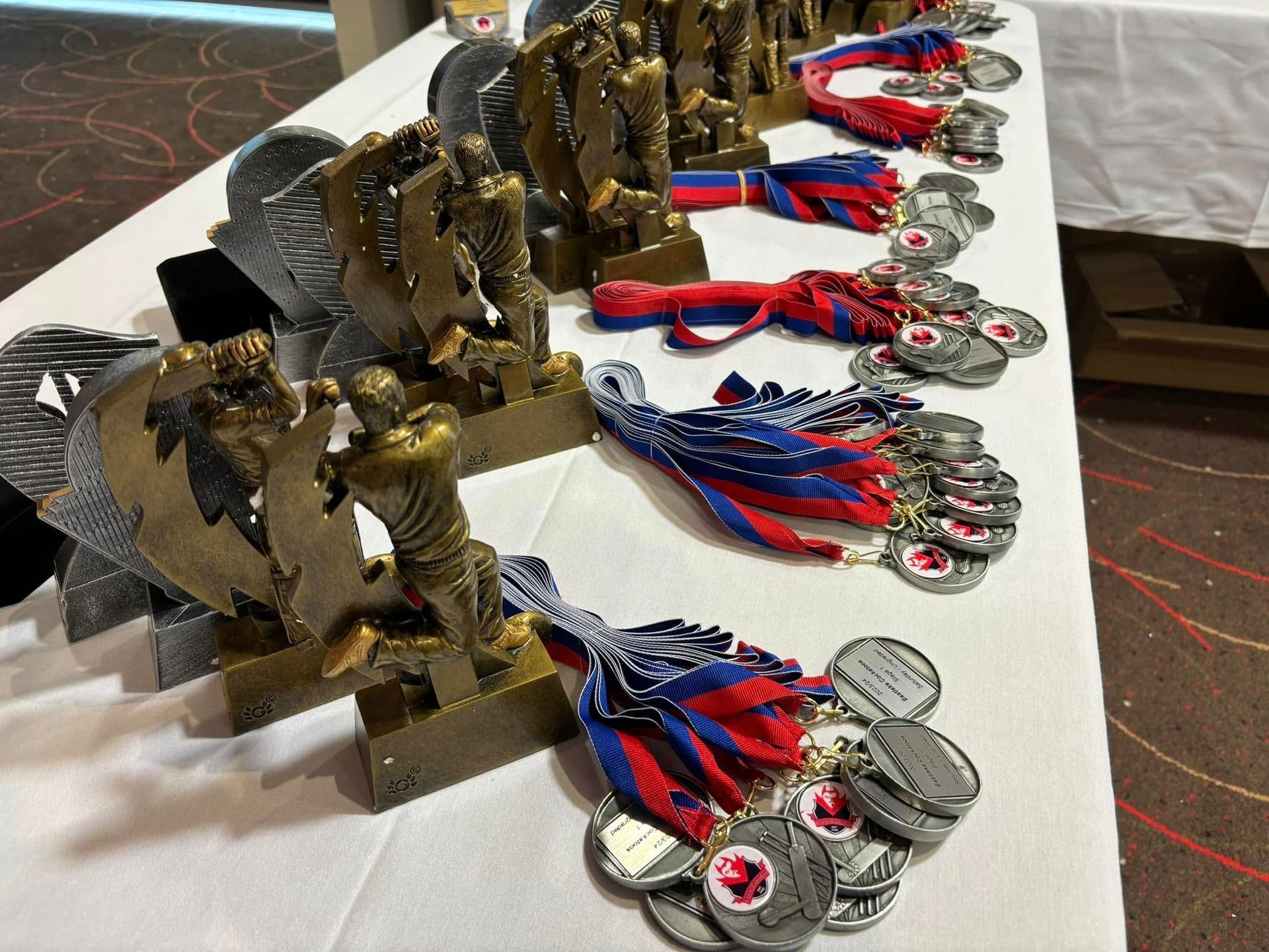 Rows of silver medals with red and blue ribbons displayed beside bronze animal trophies on a table