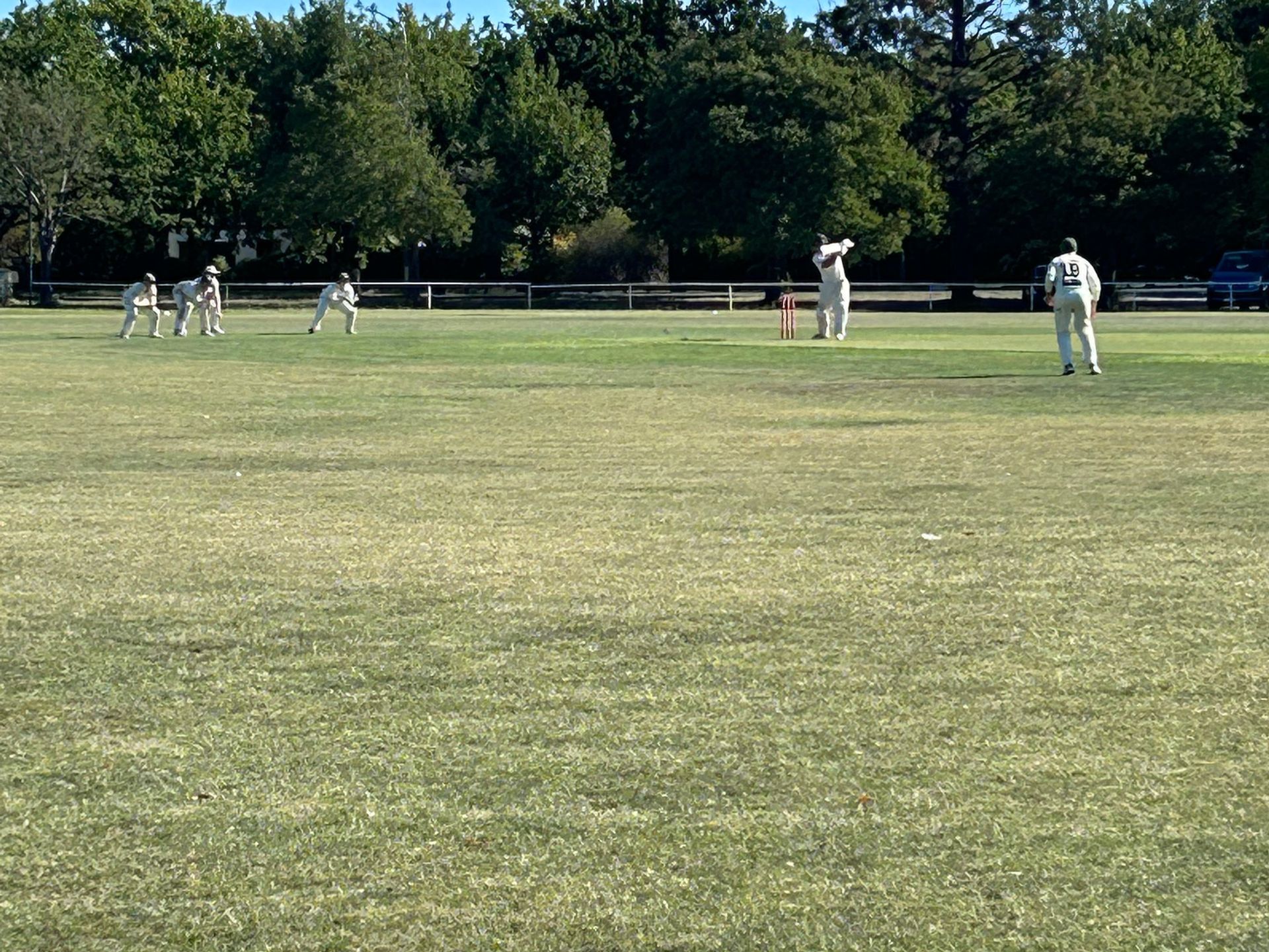 People playing cricket on a grassy field with trees in the background