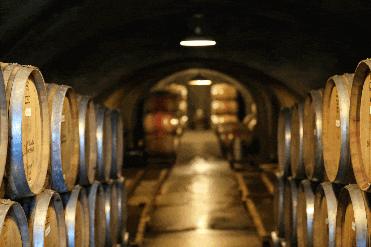 French Oak Barrels Made to Use Trenta.