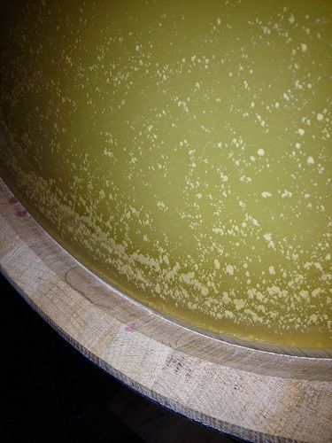 Chardonnay aging in oak barrel