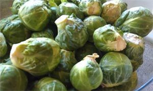 Pile of fresh, green Brussels sprouts, some with pale trimmed stems.