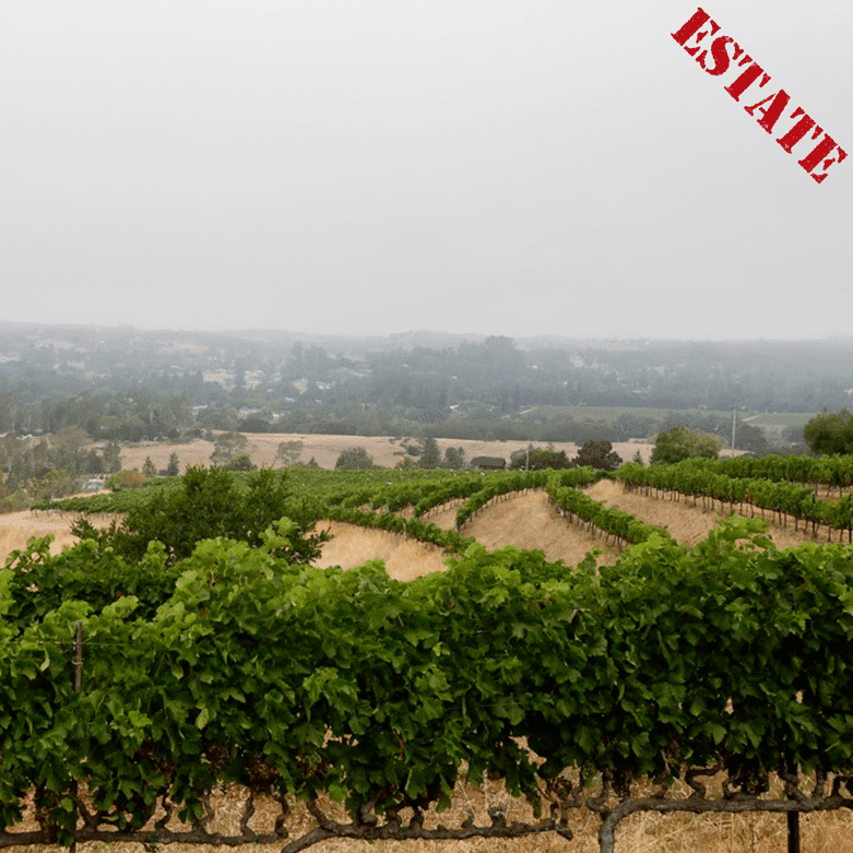 Vineyard with rows of grape vines in the foreground; a distant town is visible on a hazy day. Estate stamp.