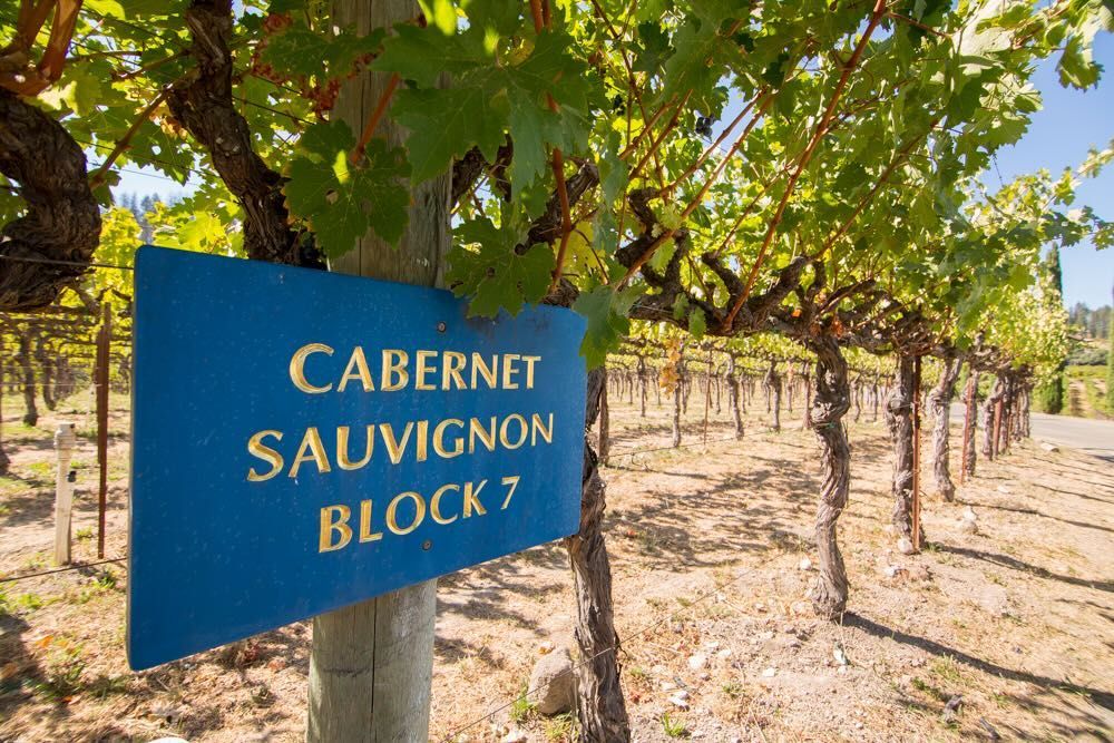 Blue sign marking Cabernet Sauvignon Block 7 in the vineyard.