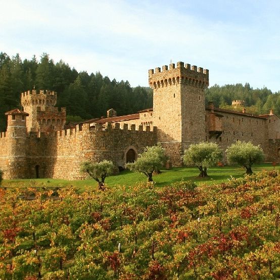Stone castle with turrets and vineyards in the foreground, trees in the background under a blue sky.