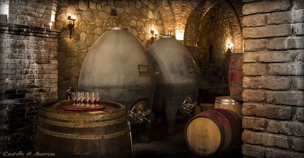 Concrete egg fermentation tanks in wine cellar