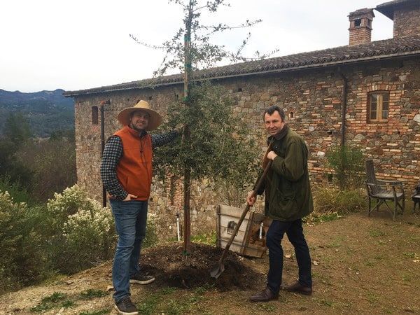 Two men planting a cork tree near a building with a shovel