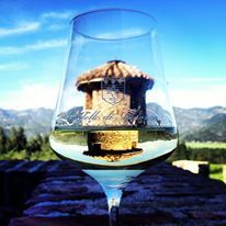 Wine glass reflecting vineyard scenery