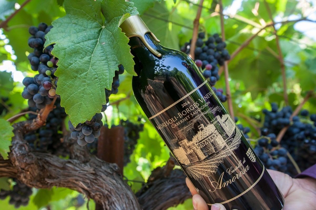Morisoli-Borges Cabernet Sauvignon bottle.