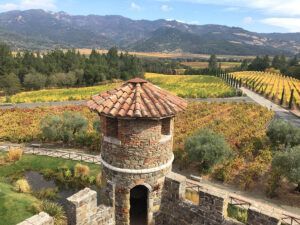 Overlooking the Castello’s Cabernet Vineyard and the Napa Valley beyond.