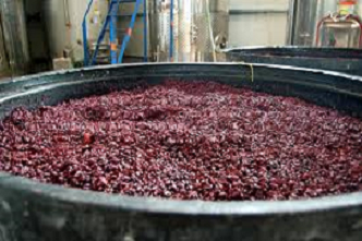 Large black vat filled with reddish-purple grape skins, likely during winemaking process.