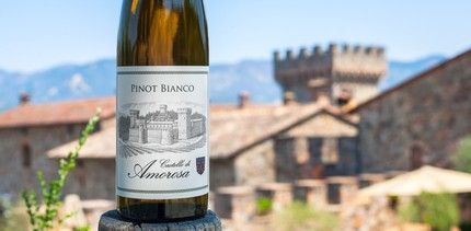 Bottle of Pinot Bianco wine displayed in front of a castle