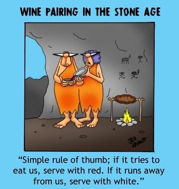 Cartoon showing basic wine pairing rules with meat