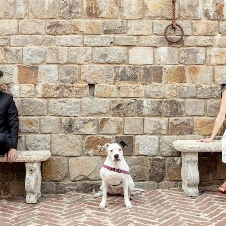 Dog sits between two people on benches in front of stone wall.
