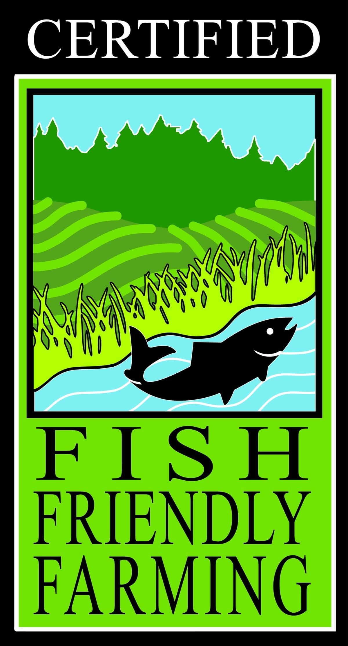 Green and blue logo with 