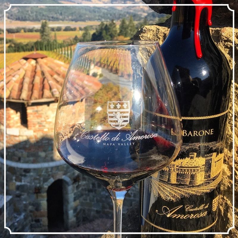 Wine glass and bottle with vineyard backdrop.