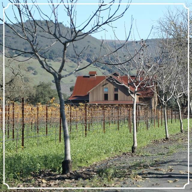 Vineyard landscape with rustic winery building.