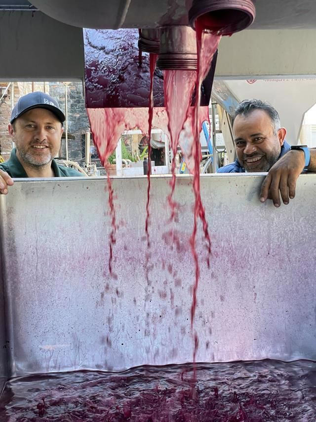 Winemakers overseeing fermentation during the Quattro blend process.