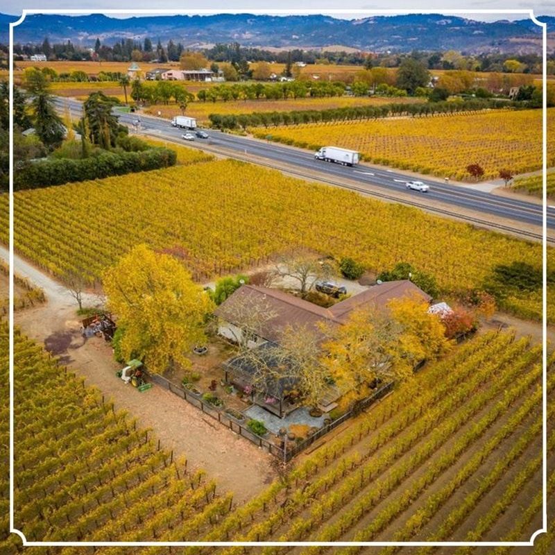 Rutherford Vineyard AVA