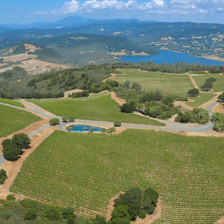 Aerial view of a vineyard with green rows, small trees, and a blue reservoir in the background under a blue sky.